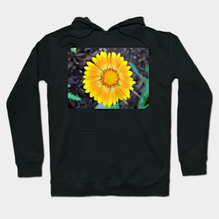 Orange & Yellow Daisy Hoodie